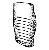 Linteroceras nom. nov. — a new replacement name for the genus Linter Shimansky, 1968 (Nautiloidea; Carboniferous)